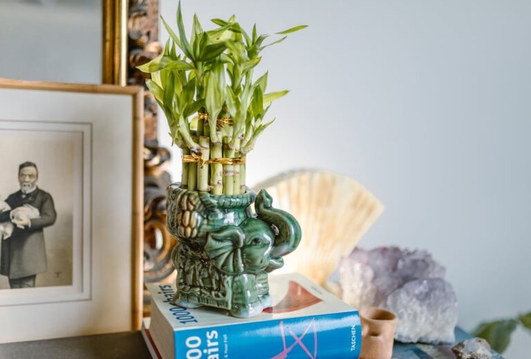 feng shui