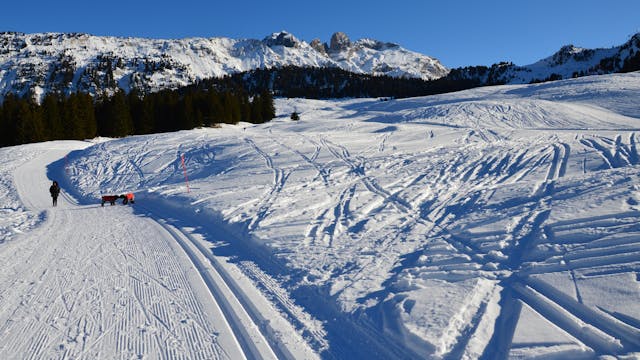 Courchevel pist